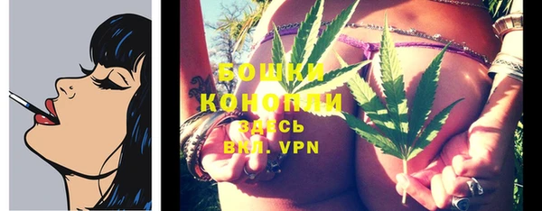 spice Абинск
